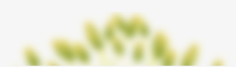 Gorros Gomaespuma - Macro Photography, transparent png