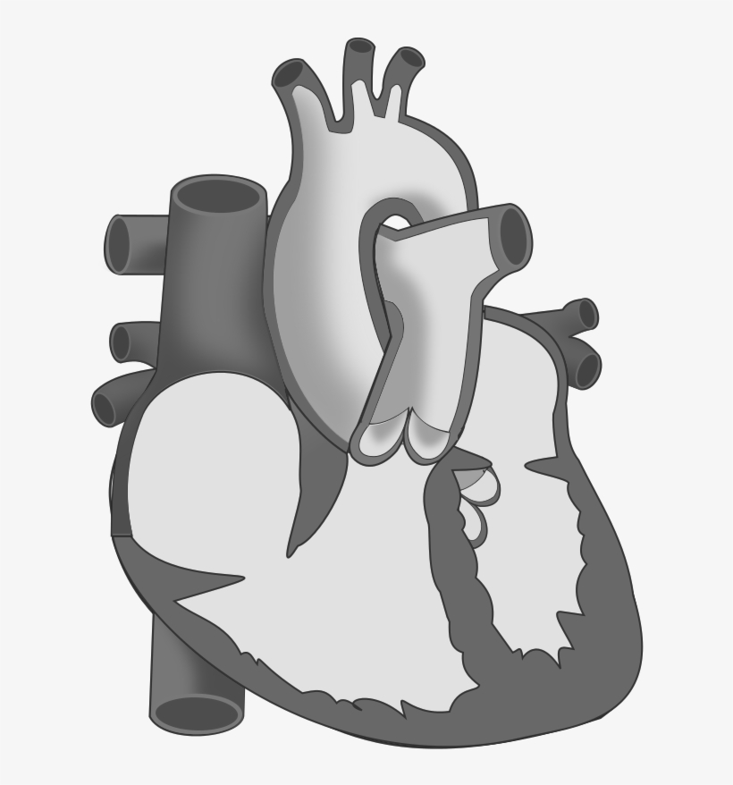 Ch19 Heart Hollow - Diffuse Pain, transparent png
