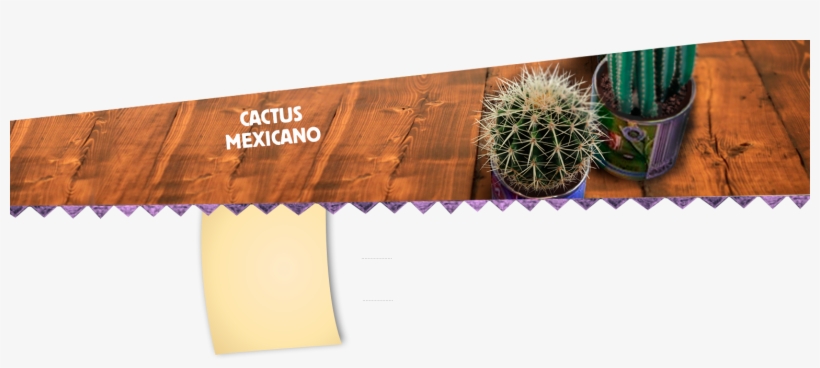 Foto Principal - Cactus, transparent png