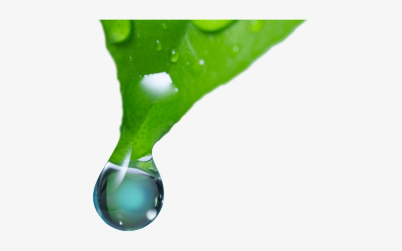 Aegea Medical's Adaptive Vapor Ablation Technology - Vesipisaroita, transparent png