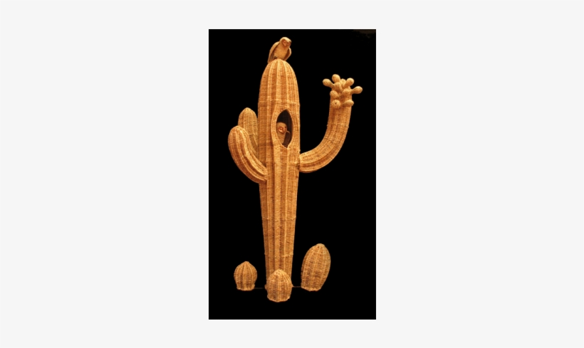 Cactus, transparent png