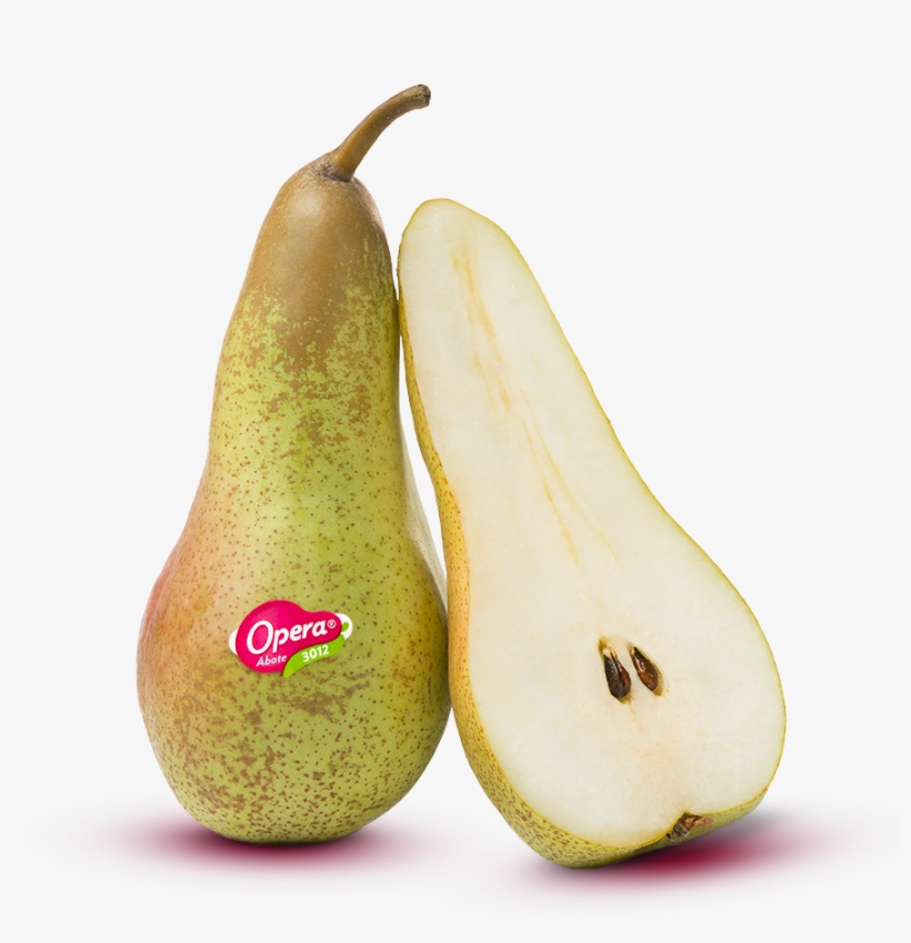 Every Variety Of Opera Pear Is A Work Of Art - Pera Opera, transparent png