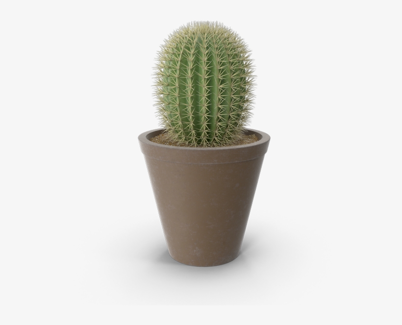 Sustainable Development - Acanthocereus Tetragonus, transparent png