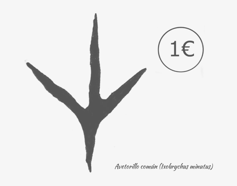 Plumaje Del Macho Con Alas Negras Y Panel Alar Amarillento, - Silhouette, transparent png