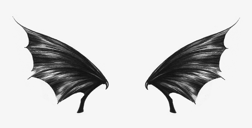 Bat, transparent png