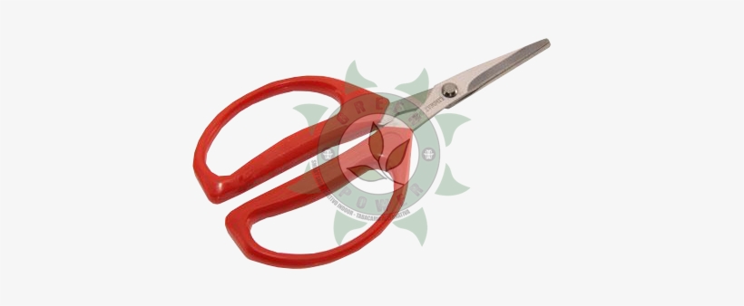 Tesoura De Colheita E Desbaste Red - Scissors, transparent png