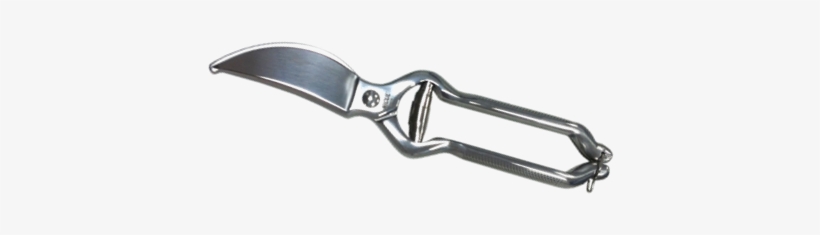 Tesoura Inox Trinchar Frango/leitão - Tesoura Para Cortar O Leitao, transparent png