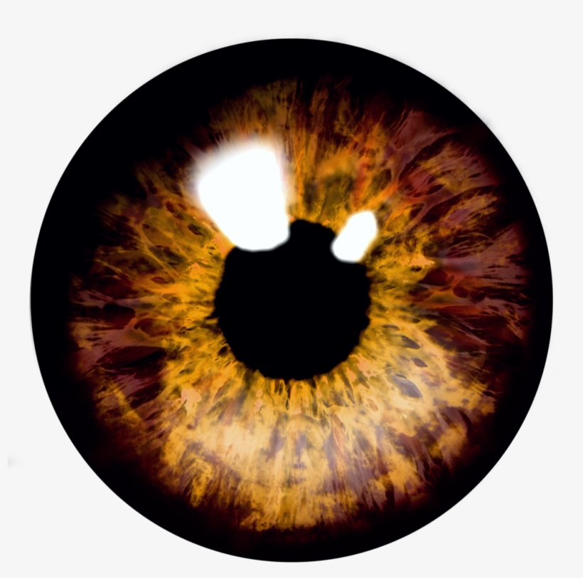 Eye , Eyes , Eyeball , Eyeballs, transparent png