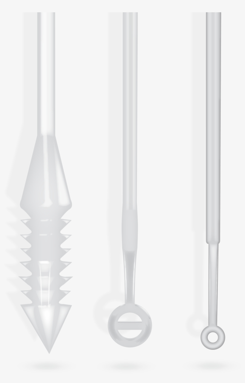 Qd-loop Dilution - Weapon, transparent png