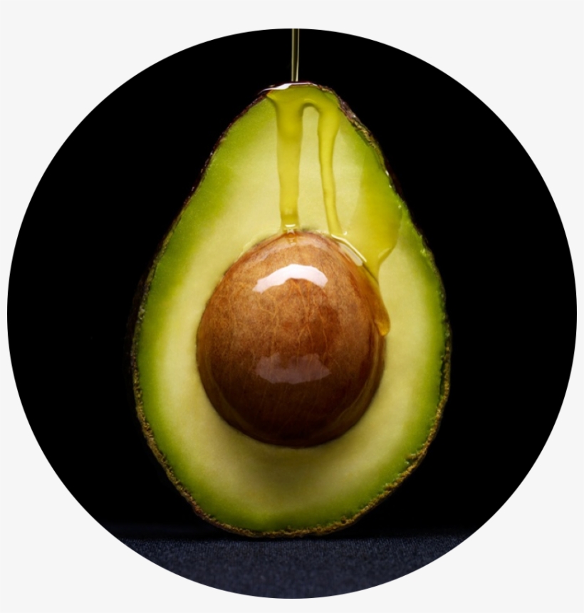 Avofatround2 - Famous Avocado Photography, transparent png