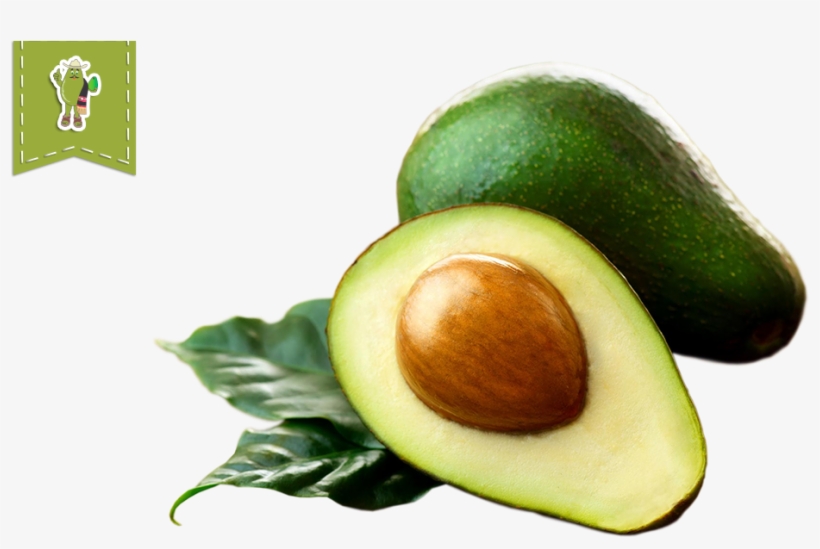 Organic Hass Avocado - Earth Aura Soap - Beauty Spa, 75gm(pack, transparent png