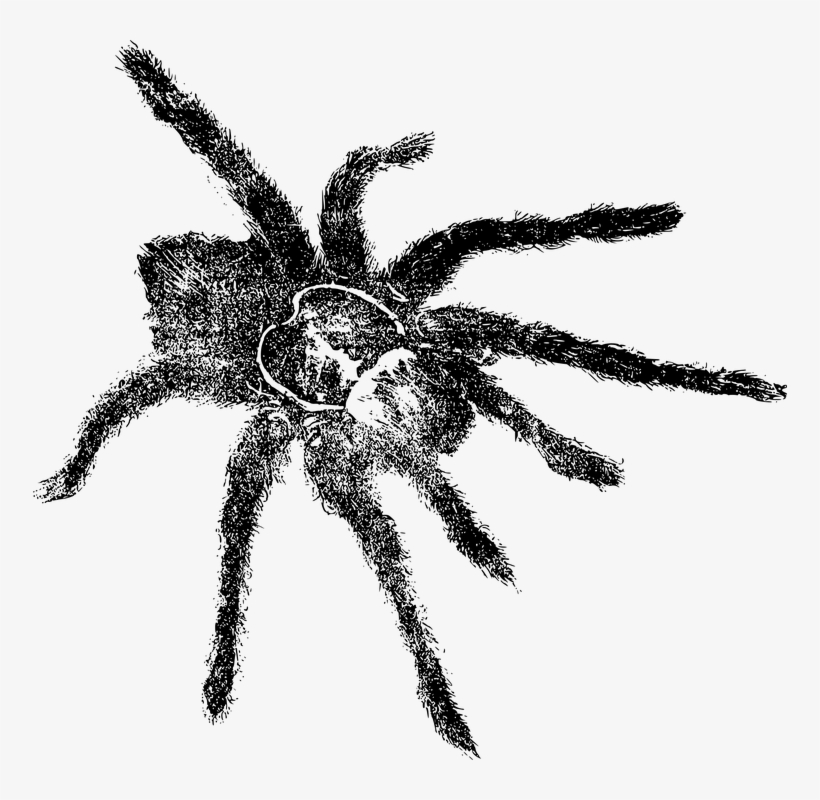 Imagenes De Arañas Y Como Dibujar Una Araña - Creepin' It Real Scary Creepy T-shirt, transparent png
