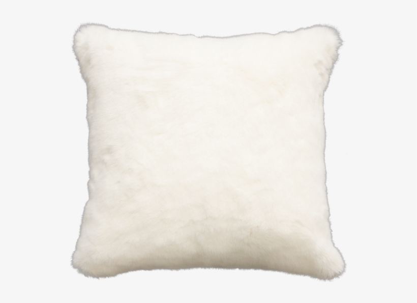 Fplbc45 Polar Bear Front 800px, transparent png