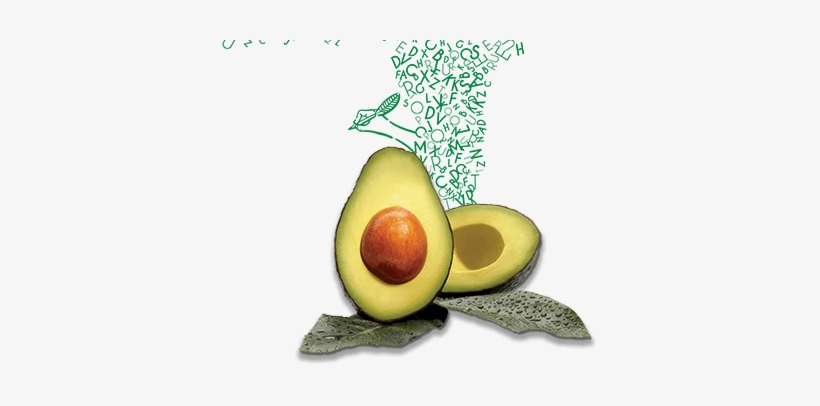 Avocado Mattress- Brown Inside - Medicina Natural Para El Ácido Úrico, transparent png