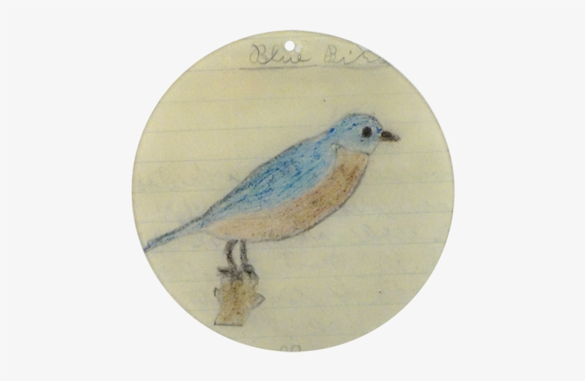 Blue Bird - Mountain Bluebird, transparent png