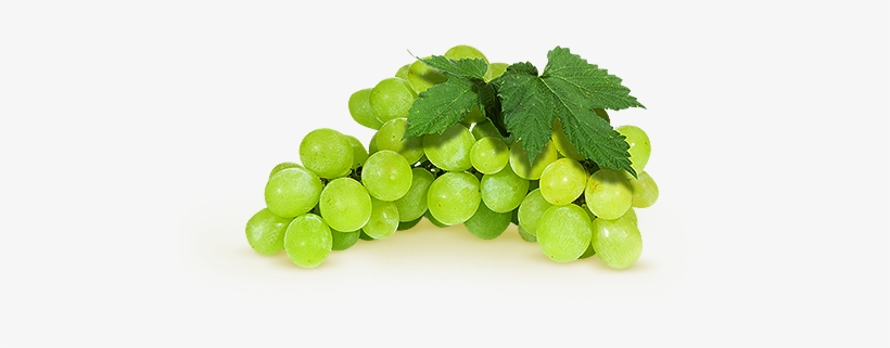 Flavoured Sparkling Water White Grapes - Hrozny Bílé, transparent png