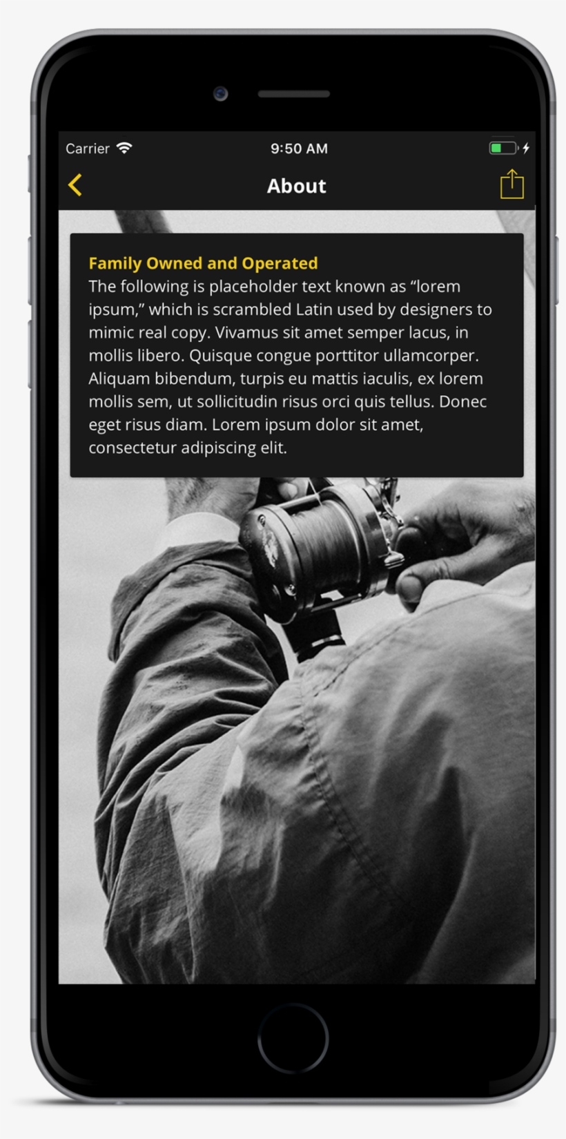 Template 1 Screen2 - Shimano Tld Ii Lever Drag, transparent png