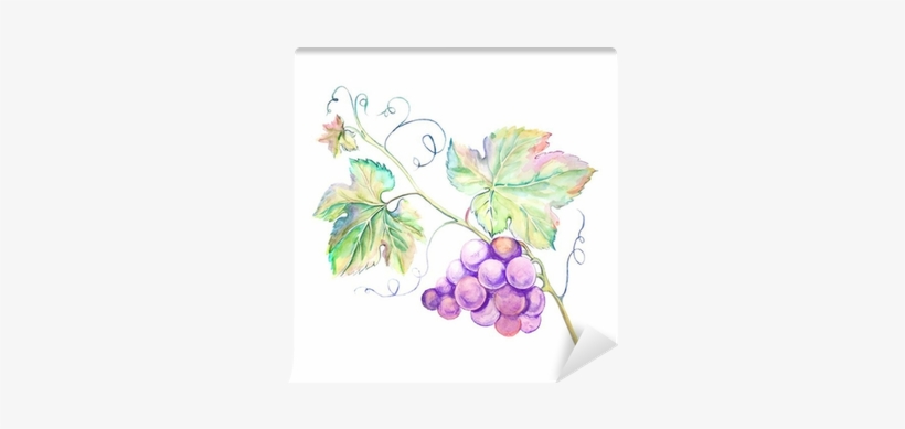 Grape Leaves, transparent png
