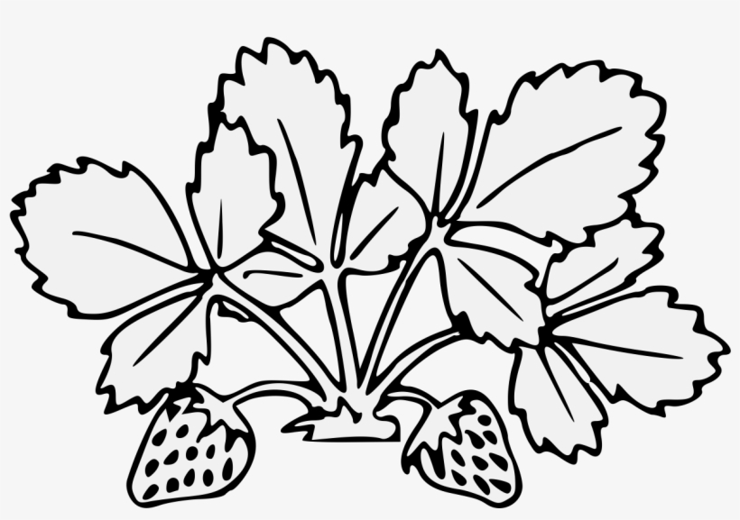 Details, Png - Flower, transparent png