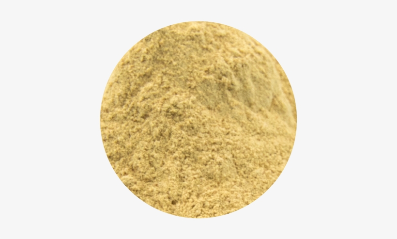 Circle, transparent png