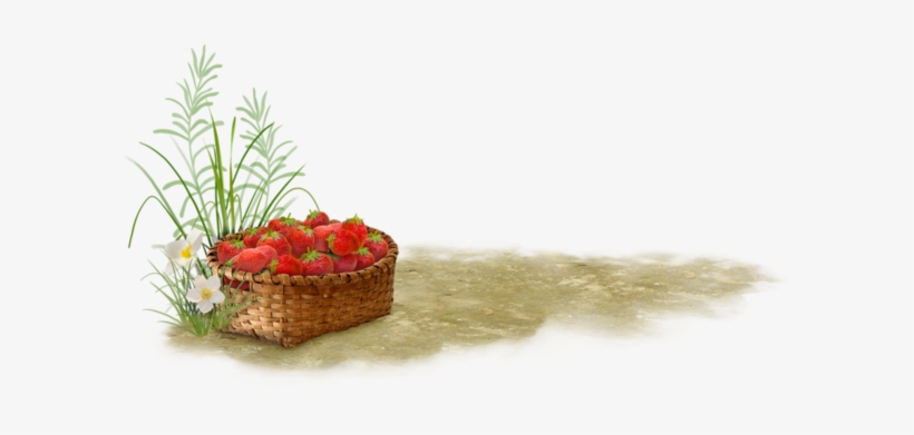 Fc6326af - Fruit, transparent png