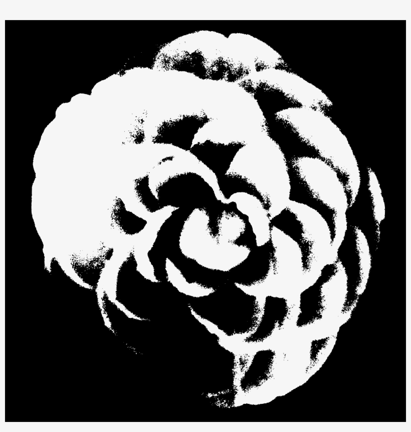 This Free Icons Png Design Of Chinese Flower Outlines, transparent png