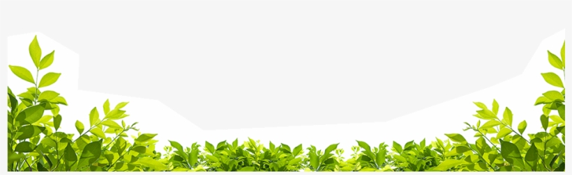 Blooms All Through The Chinese New Year - Green Leaf Border Png, transparent png