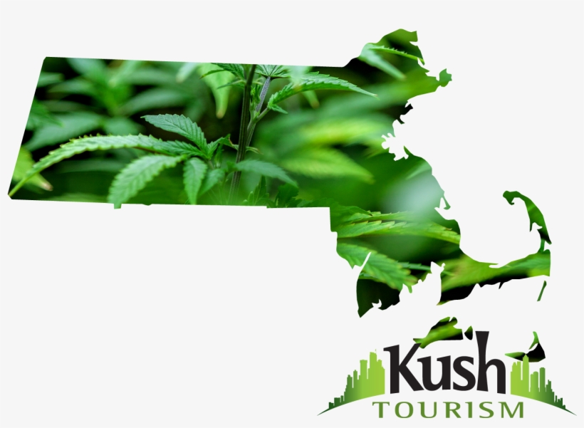 Ma - Legal Marijuana Massachusetts, transparent png