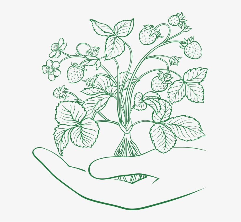 Our Story - Illustration, transparent png