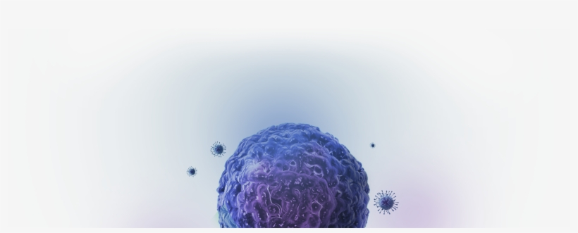 T-cells Or 3) A Checkpoint Antibody For Solid Tumor - Car T Cells Background, transparent png