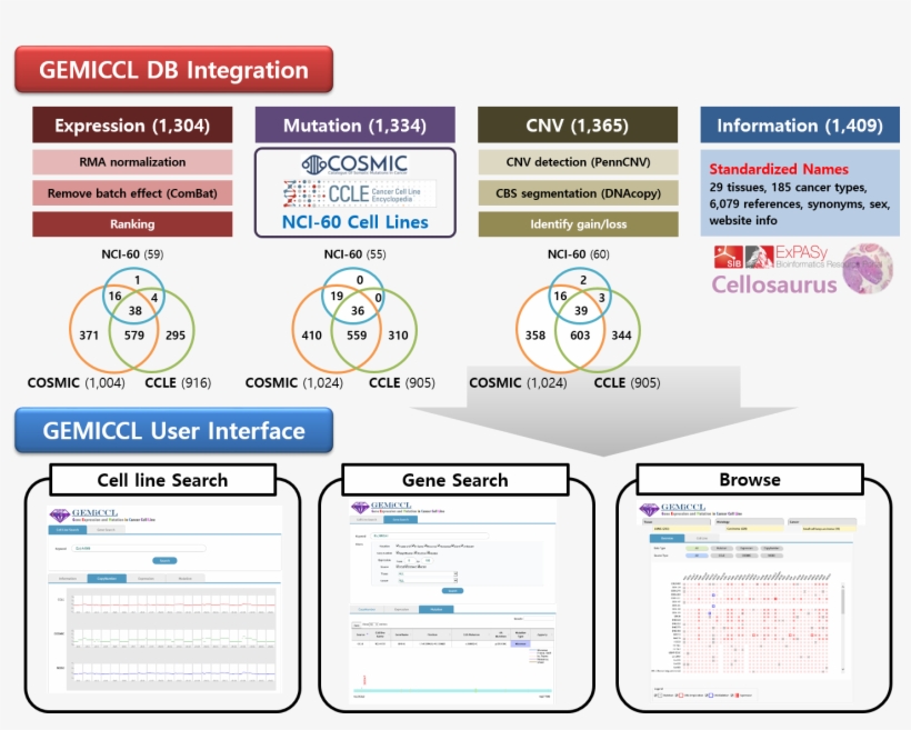 Of Somatic Mutations In Cancer), And Nci60 - Mutation, transparent png