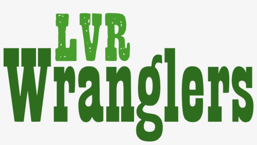 Lvr Junior Wrangler Program - Happy Camper Rectangle Magnet, transparent png