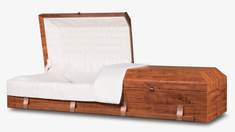 Southcare Cremation & Funeral Society, transparent png