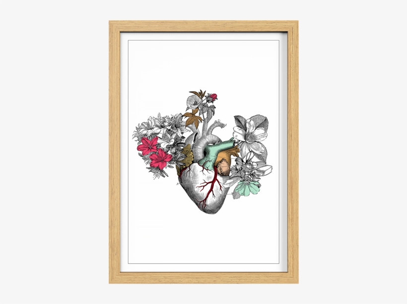 Cuadro Corazón Blanco - First Times By Maxwell E Bevilacqua, transparent png