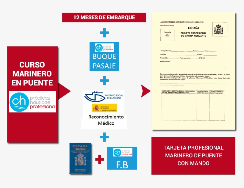 Requisitos Para Obtener La Tarjeta Profesional De Marinero - Sailor, transparent png