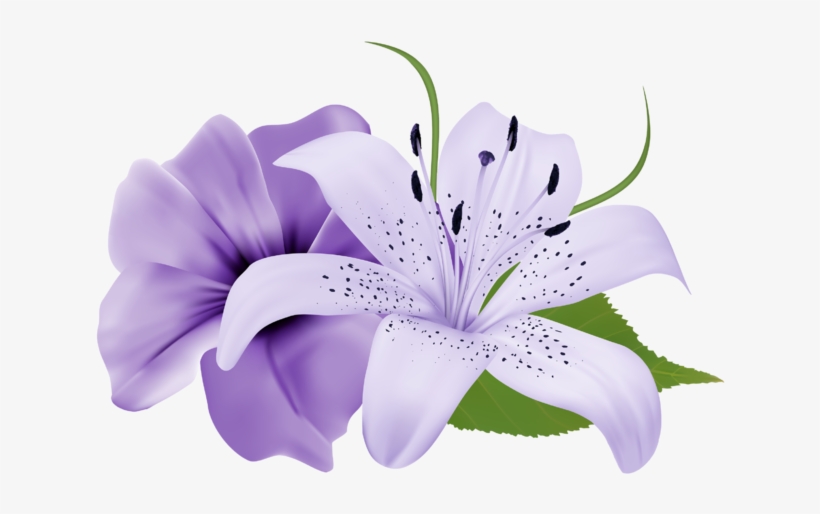 Purple Deco Flowers Png Clipart 179 0 - Lily Flower Purple Png, transparent png