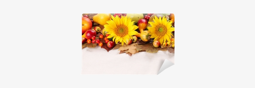 Autumn Frame With Fruits,pumpkins And Sunflowers Wall - Рабочий Стол Осень 2018 Октябрь, transparent png
