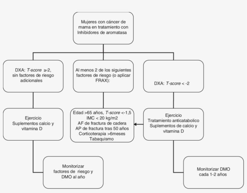 Algoritmo Diagnóstico Y Terapéutico Para Mujeres Con - Algoritmo Cancer De Mama, transparent png