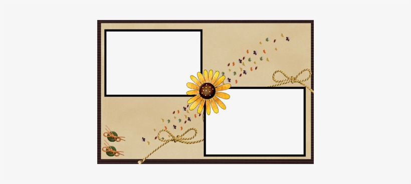 Photograph, transparent png