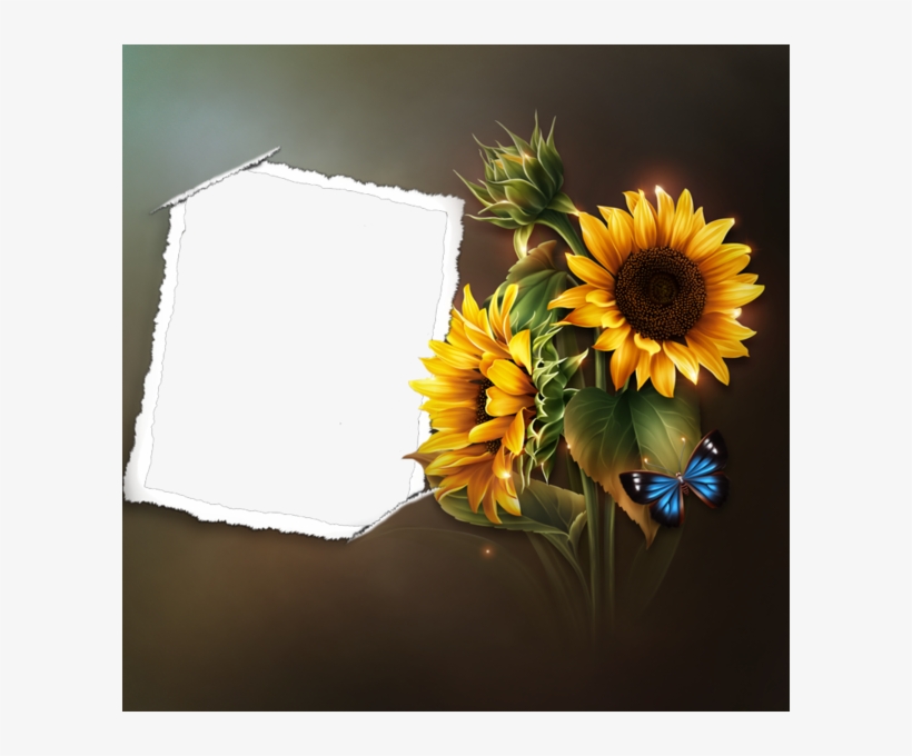 Sunflowers On The Beach, transparent png