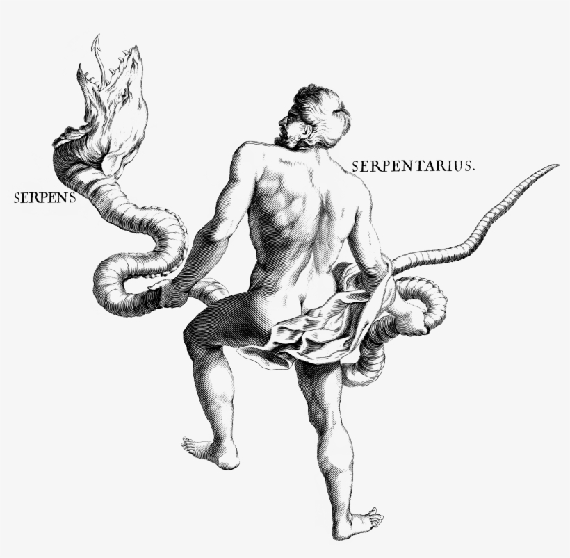 Resolution - Ophiuchus Female, transparent png