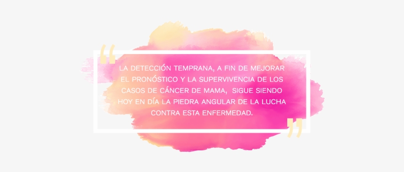 A Este Día El 19 De Octubre Como El Día Para Conmemorar - Lilac, transparent png