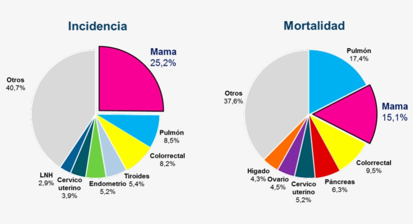 Cáncer De Mama En América - Breast Cancer, transparent png
