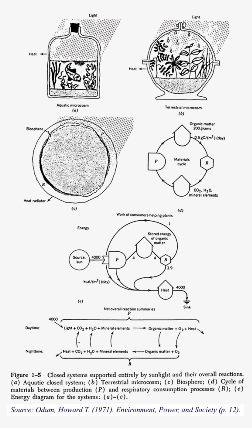 Accordingly, Odum Suggested Studying Ecosystems As - Diagram, transparent png