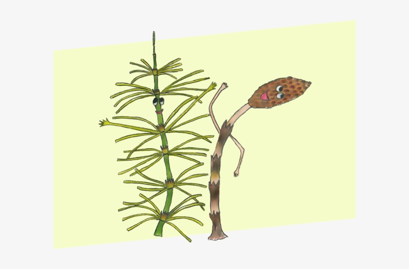 The Card Game - Orchid, transparent png