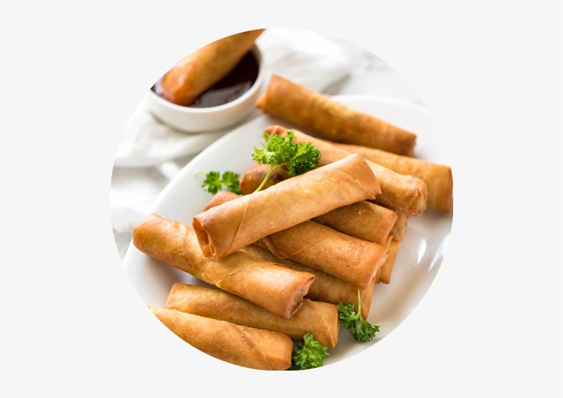 Spring Rolls Spring Roll 500x500 PNG Download PNGkit