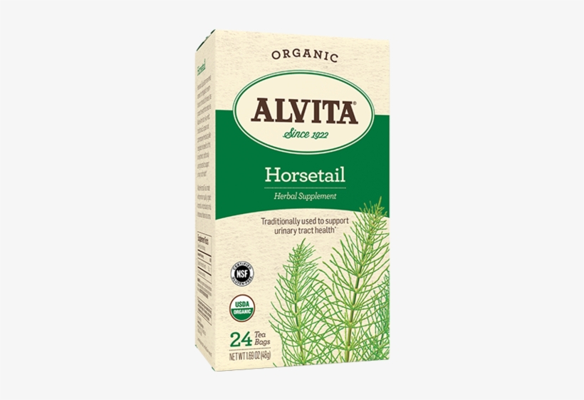 Default Title - Alvita Horsetail Tea - 24 Bags, transparent png