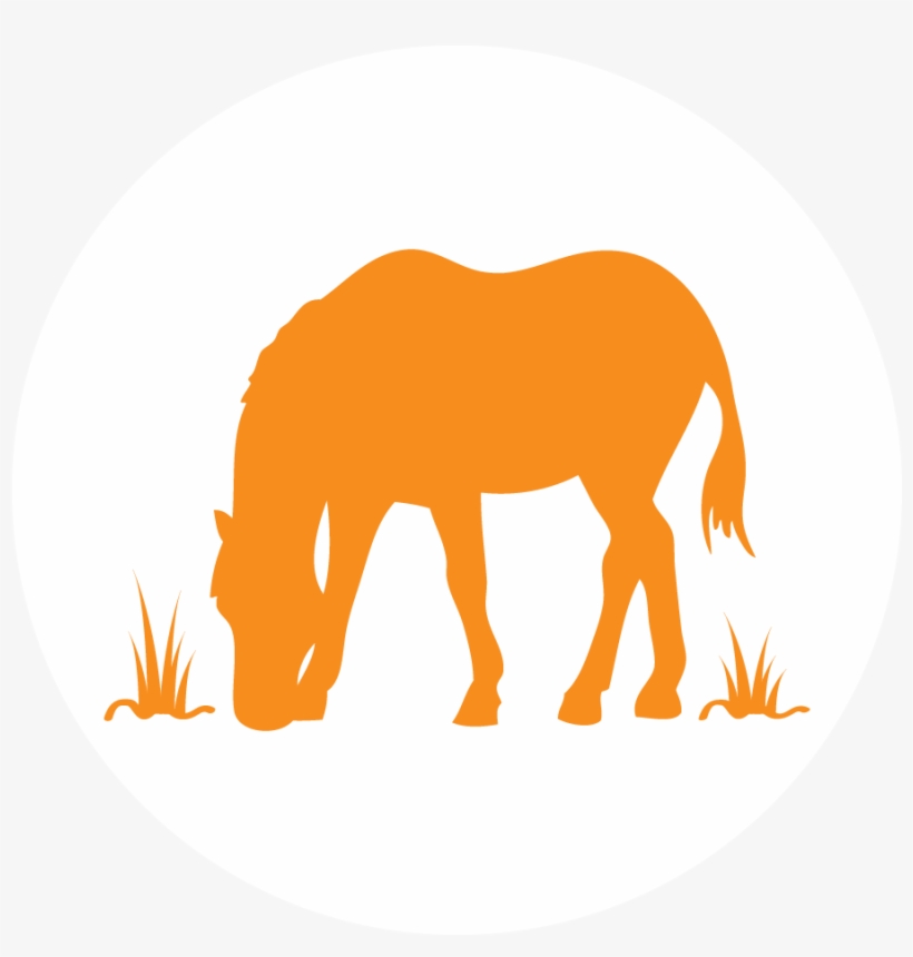 Horse & Farm Committee Icon - Horse, transparent png
