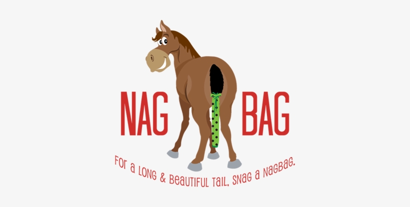 Horse, transparent png