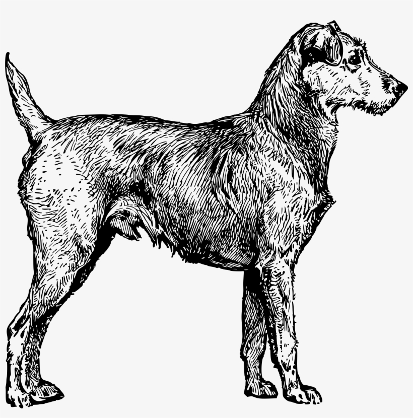 This Free Icons Png Design Of Irish Terrier, transparent png